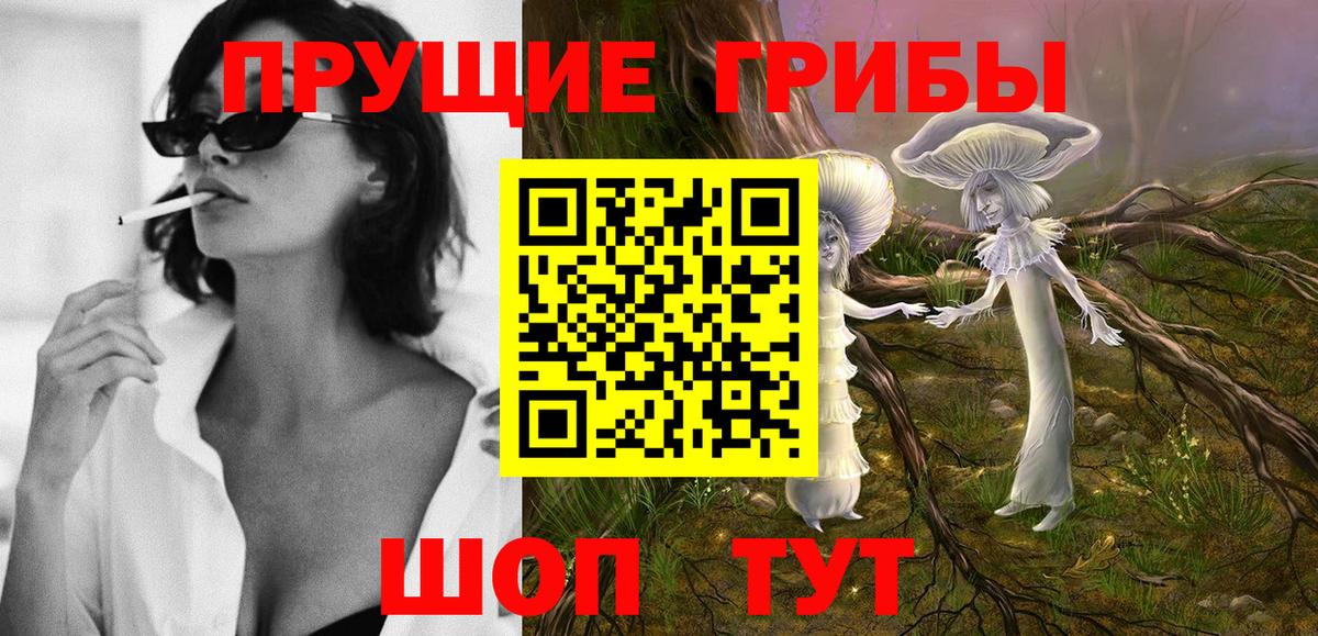 Тельмана  Псилоцибиновые грибы ЛСД  Вход с VPN 