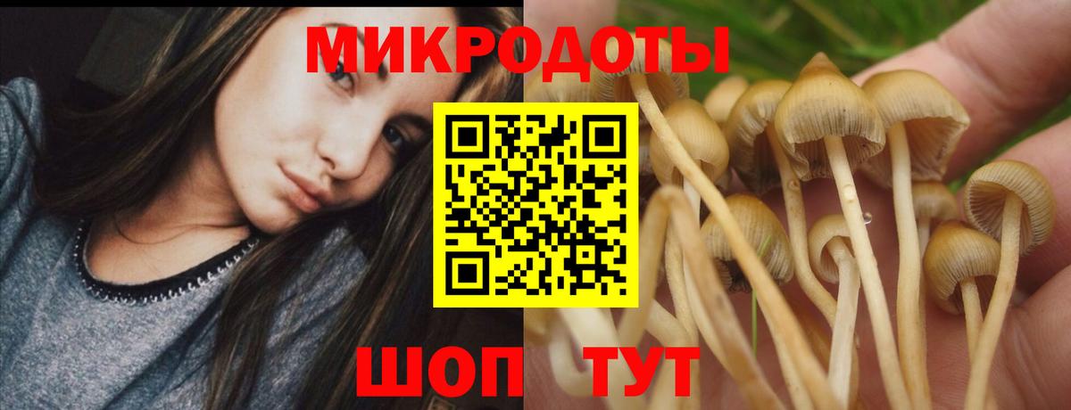 Псилоцибиновые грибы мицелий Тельмана