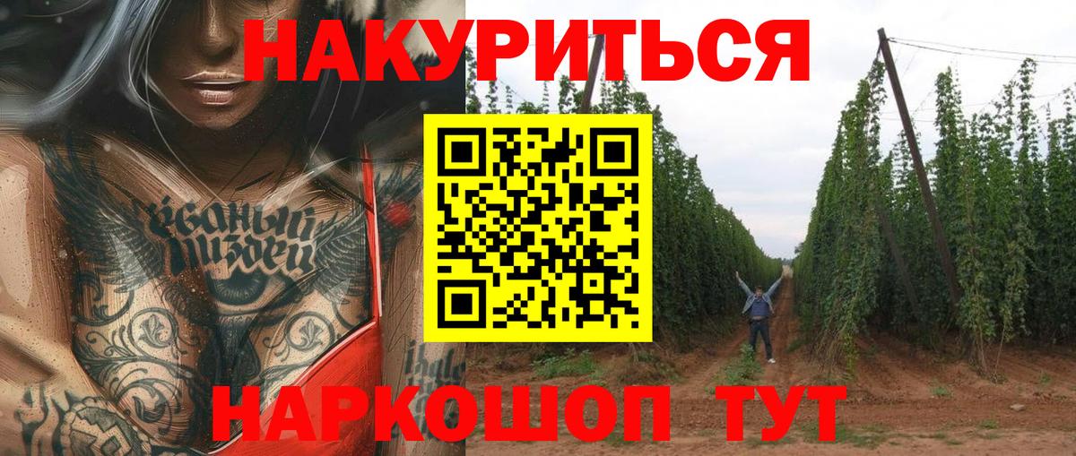 Канабис сатива Тельмана